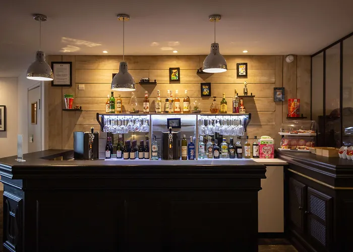 艺术家普莱斯贝斯特韦斯特酒店 图尔